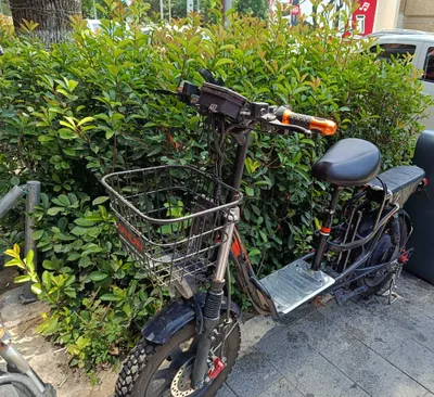 Elektr skuter ganlan 1
