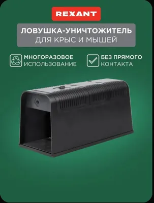 Elektrik sichqon va kalamush tutqich 1