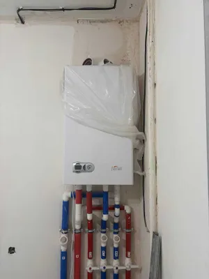Двухконтурный котел Ferolli Fortuna F24 KWT