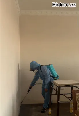 Dizenfeksiya xizmati Biokon ishonchli samarali yechim 24/7 1