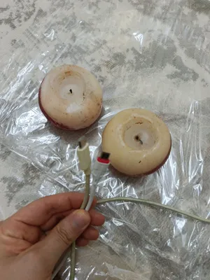 Зарядка и кабель