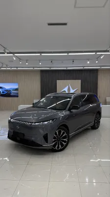Dongfeng 008 210 km 2026!!! 1
