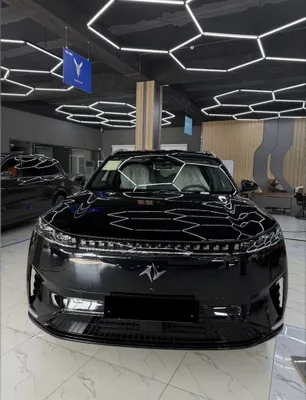 Dongfeng 008 gibrid 1