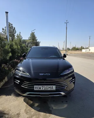 Гибрид BYD Champion 1