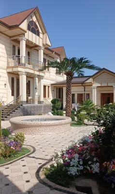 Yetkazib berish va o‘rnatish bilan sun’iy palmalar 1