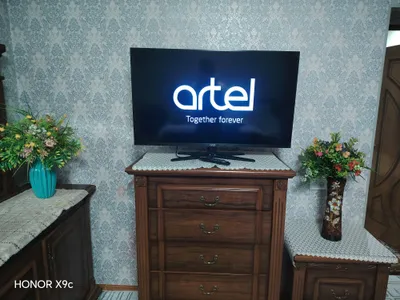 Artel 42 yoki 43, smart emas 1