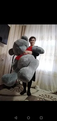 Tedi Ayiq
