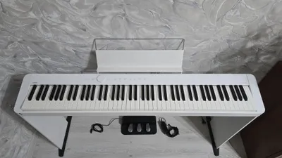 Цифровое пианино Casio Privia PX-S1000 1
