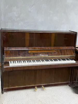 “Lastochka” pianinosi 1