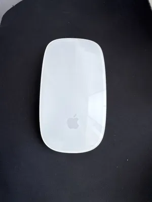 Apple simsiz sichqonchasi 1