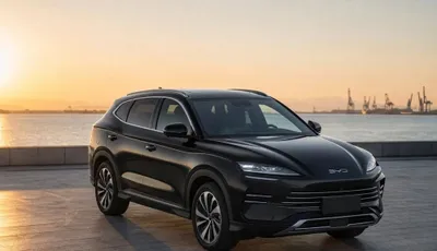 BYD для свадеб и мероприятий к вашим услугам 1