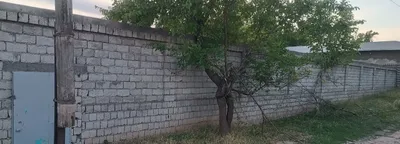 Кибрайский район, МФЙ «Май», 10 соток, фасад 32 м, кадастр есть, газ, вода, электричество есть 1