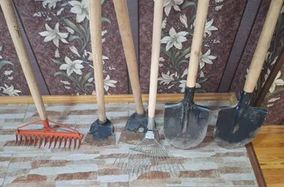 Shoshilinch! Bog‘dorchilik anjomlari — belkuraklar, ketmonlar, xaskashlar 1