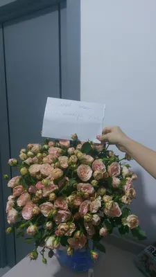 Свежие голландские спрей розы