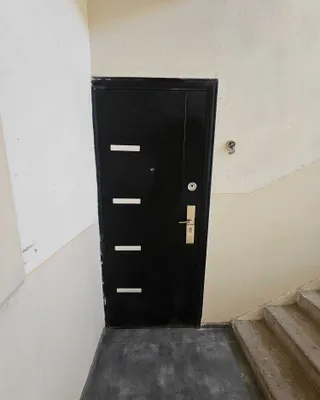 Kirish uchun metall eshik 1