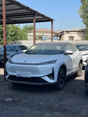 Dong Feng Aeolus L7 1