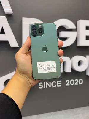 iPhone 13 Pro Max