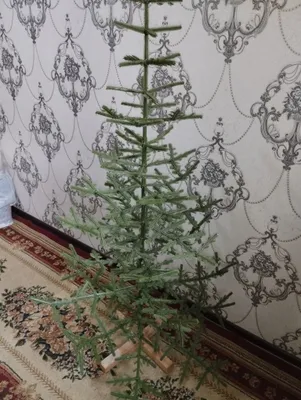 Sovet davriga oid yangi yil archasi 1