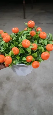 Красивые цветы 1