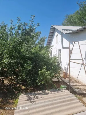 Yangibozorda 6 sotixli uy sotiladi — 72.000 1