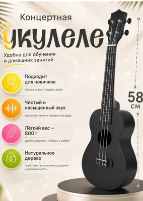 Minigitara Ukulele Hawaiian 1