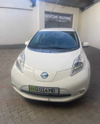Nissan Leaf 2015 1