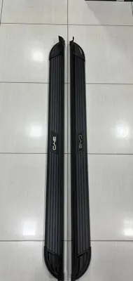 Byd chempion parog