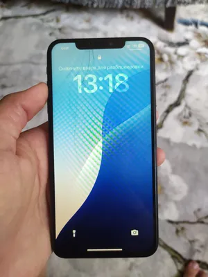 iPhone XS Max 256 ГБ 1