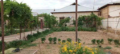 Dacha sotiladi meraj 2 1