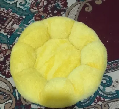 Mushuk uchun yangi yotoqcha. Deyarli ishlatilmagan