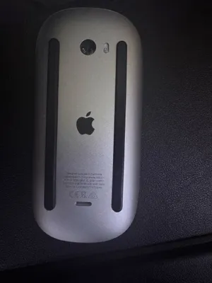 Apple Magic mouse 1