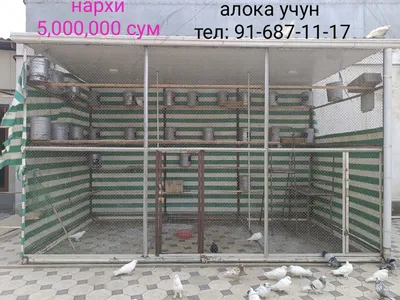 Клетка для содержания голубей и птиц 1