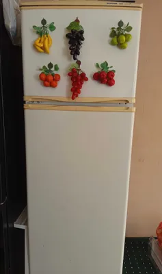 Холодильник Snaige