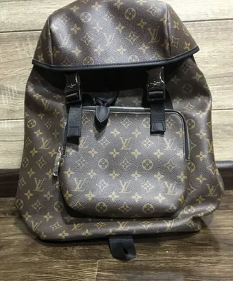Louis Vuttion Safari & Gucci ryukzagi 1