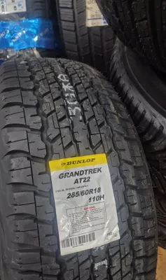 Dunlop avtomobil shinalari, Yaponiya 1