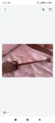 Рубаб кашгарский, состояние отличное