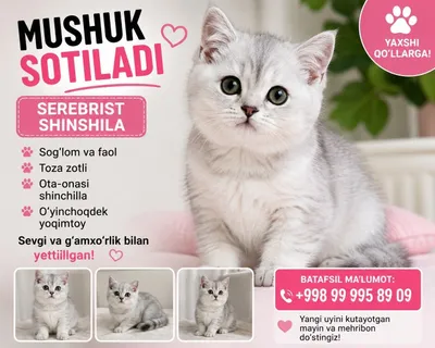 Mushuk sotiladi. 1