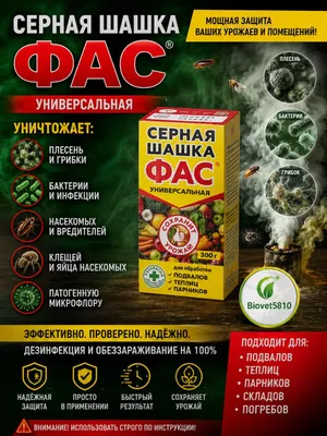 Universal FAS oltingugurtli shashka