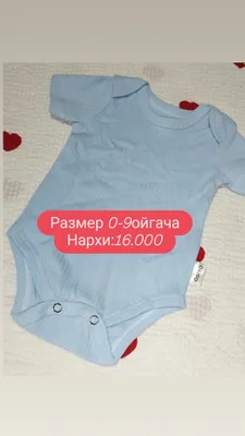 Боди 1
