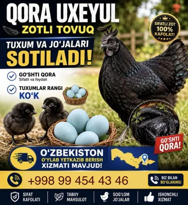 Приму заказ на яйца Ухейилюй 1