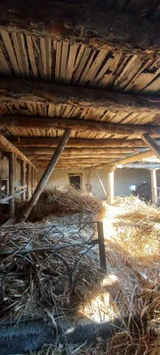 Продаются балки и стропила, цену обсудим 1