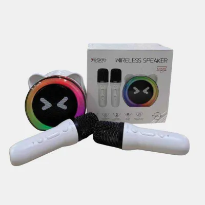Bluetooth караоке колонка с 2 микрофонами a13