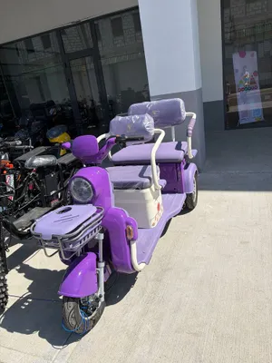 3 kishilik elektroskuter 1