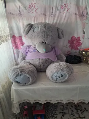 Медвежонок Айк 1