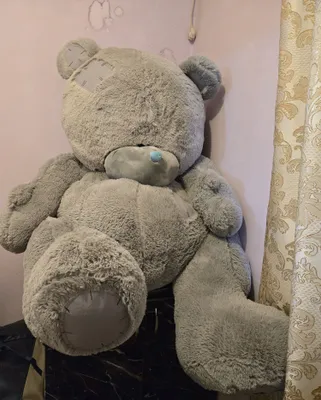 Продам большую Тедди мишку