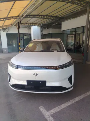 Гибридный Dongfeng 008 1
