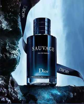 dior sauvage parfum 1