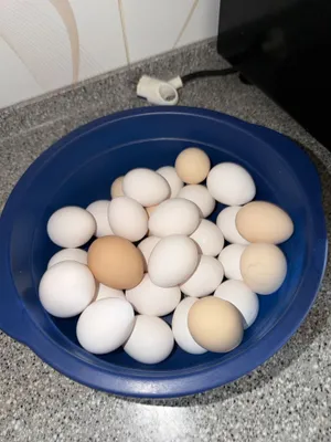 Продаются домашние яйца