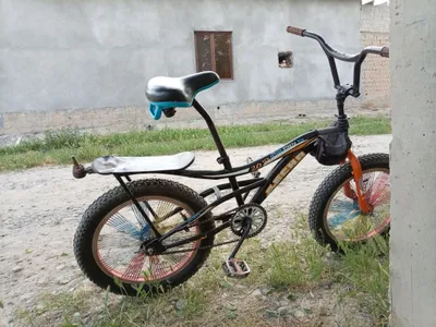Desna 20 veloseped 1