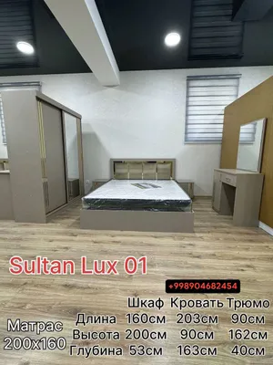 spanli 1